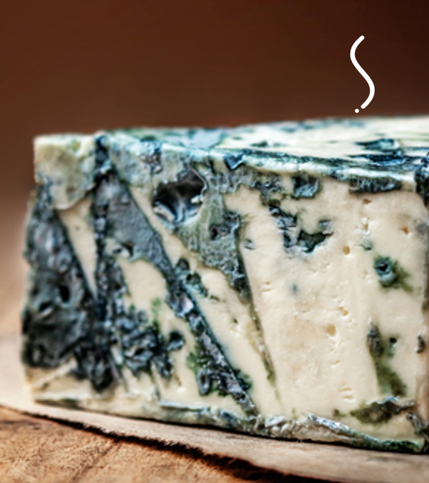 GORGONZOLA